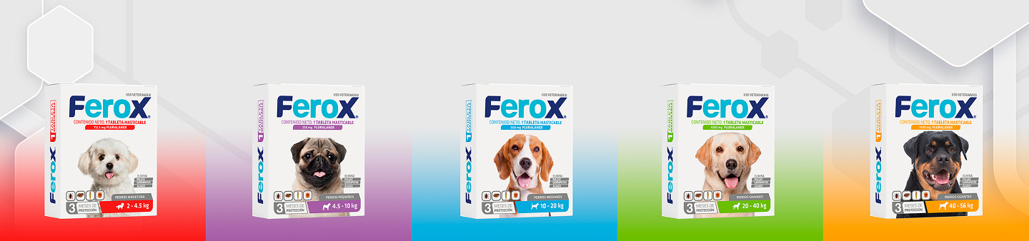 Banner Productos