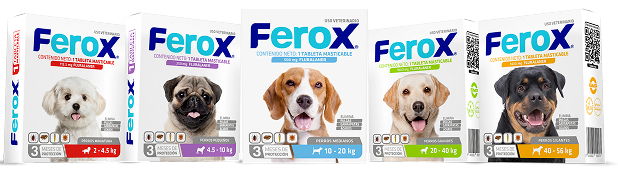 Cajas Ferox